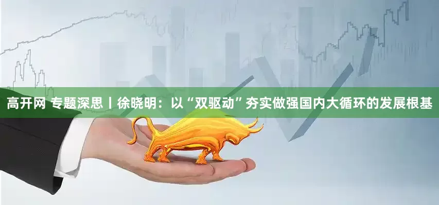 高开网 专题深思丨徐晓明：以“双驱动”夯实做强国内大循环的发展根基