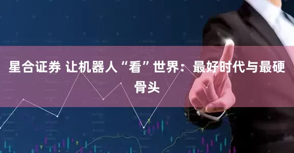 星合证券 让机器人“看”世界：最好时代与最硬骨头