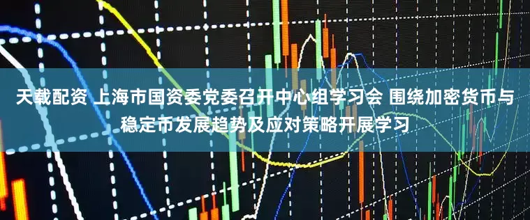 天载配资 上海市国资委党委召开中心组学习会 围绕加密货币与稳定币发展趋势及应对策略开展学习