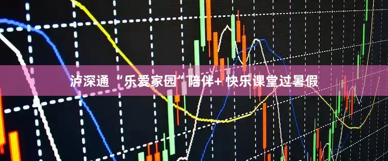 泸深通 “乐爱家园”陪伴+ 快乐课堂过暑假