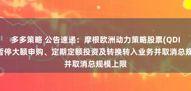 多多策略 公告速递：摩根欧洲动力策略股票(QDII)基金暂停大额申购、定期定额投资及转换转入业务并取消总规模上限