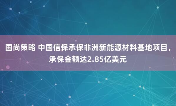 国尚策略 中国信保承保非洲新能源材料基地项目，承保金额达2.85亿美元