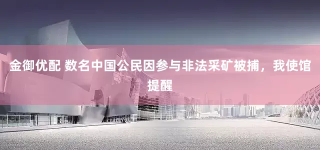 金御优配 数名中国公民因参与非法采矿被捕，我使馆提醒