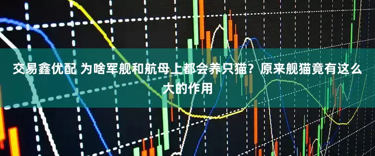 交易鑫优配 为啥军舰和航母上都会养只猫？原来舰猫竟有这么大的作用