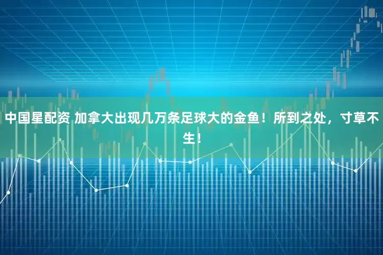 中国星配资 加拿大出现几万条足球大的金鱼！所到之处，寸草不生！