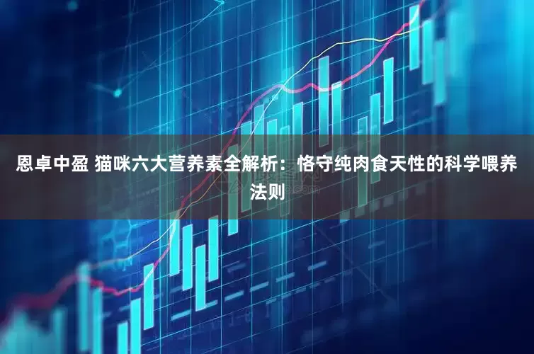 恩卓中盈 猫咪六大营养素全解析：恪守纯肉食天性的科学喂养法则