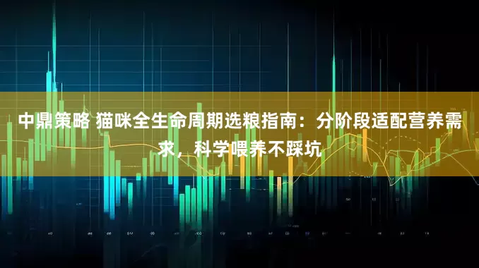 中鼎策略 猫咪全生命周期选粮指南：分阶段适配营养需求，科学喂养不踩坑